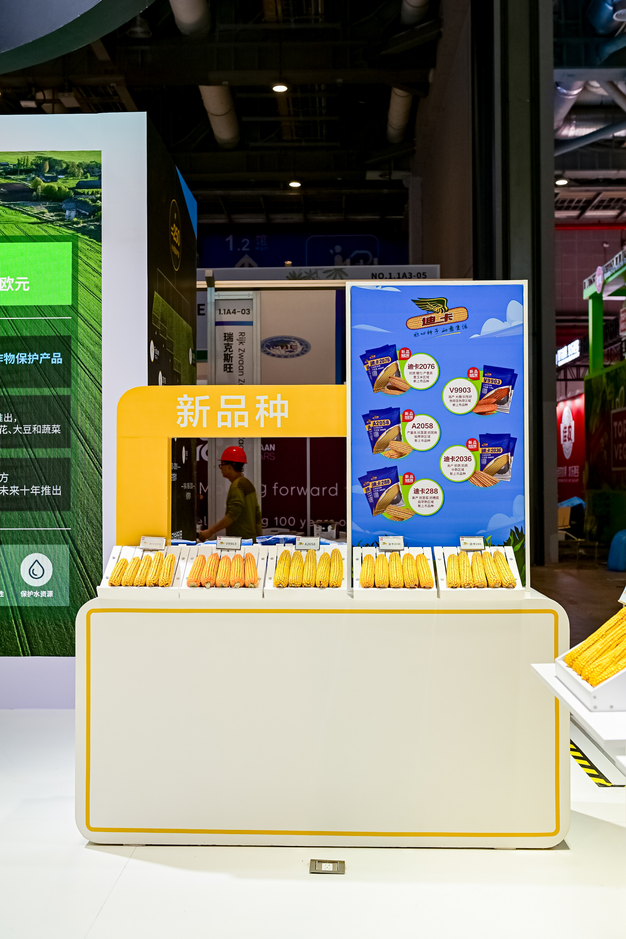 The China debut of five new corn varieties of Bayer Crop Science